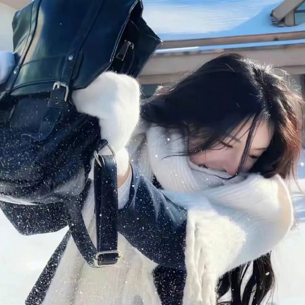 巨幅宝丽莱大师海报
