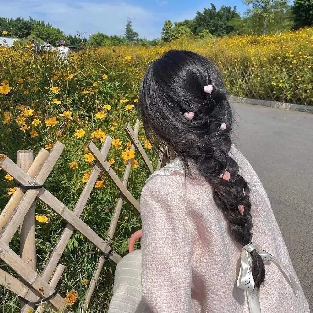 美丽梦想者海报